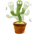 Dancing and Singing Cactus